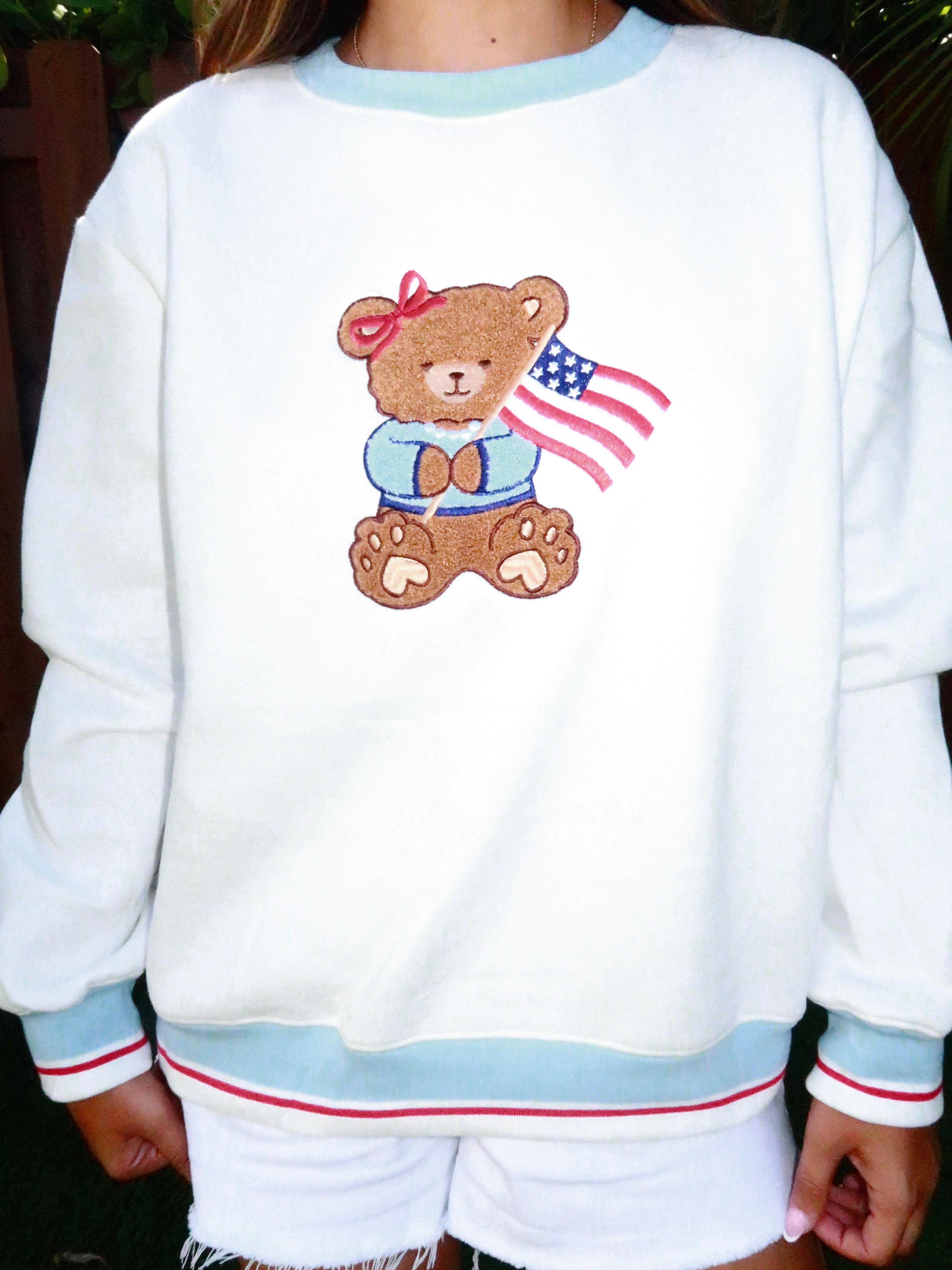 AmericanTeddy Pullover