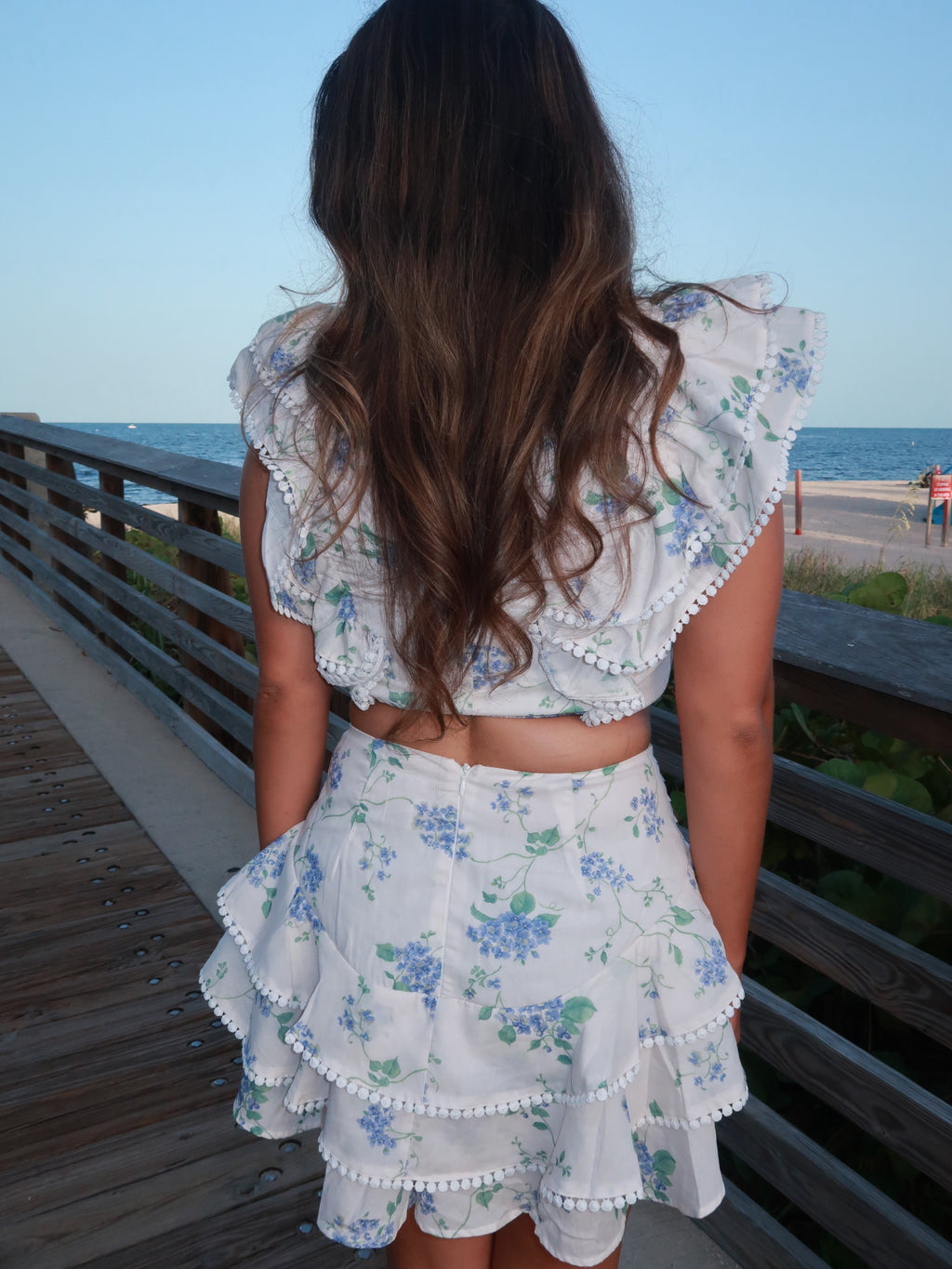 Hydrangea bloom set